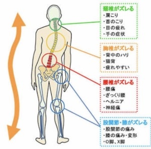 福島市で『骨盤の歪み』でお悩みでしたらヒロ整体院へ！